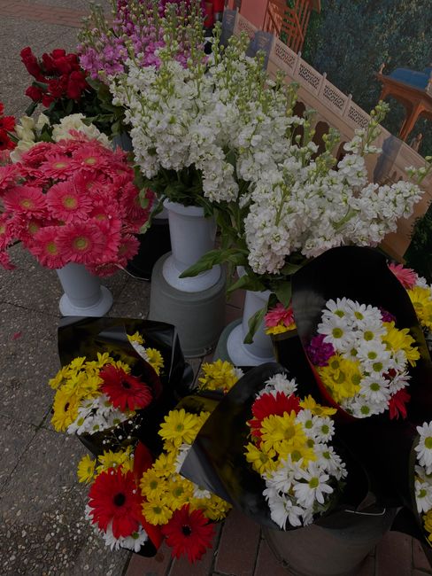 A collection of fresh floral arrangements and bouquets displayed outdoors, featuring a variety of flowers such as pink gerbera daisies, white stock, yellow chrysanthemums, and red gerbera daisies. The